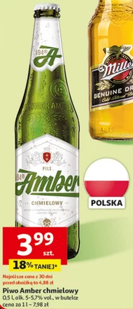 Пиво Browar Amber