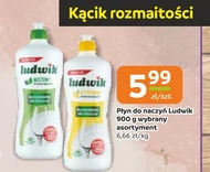 Засіб для миття посуду Ludwik