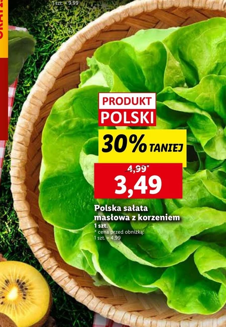 Sałata masłowa Polski