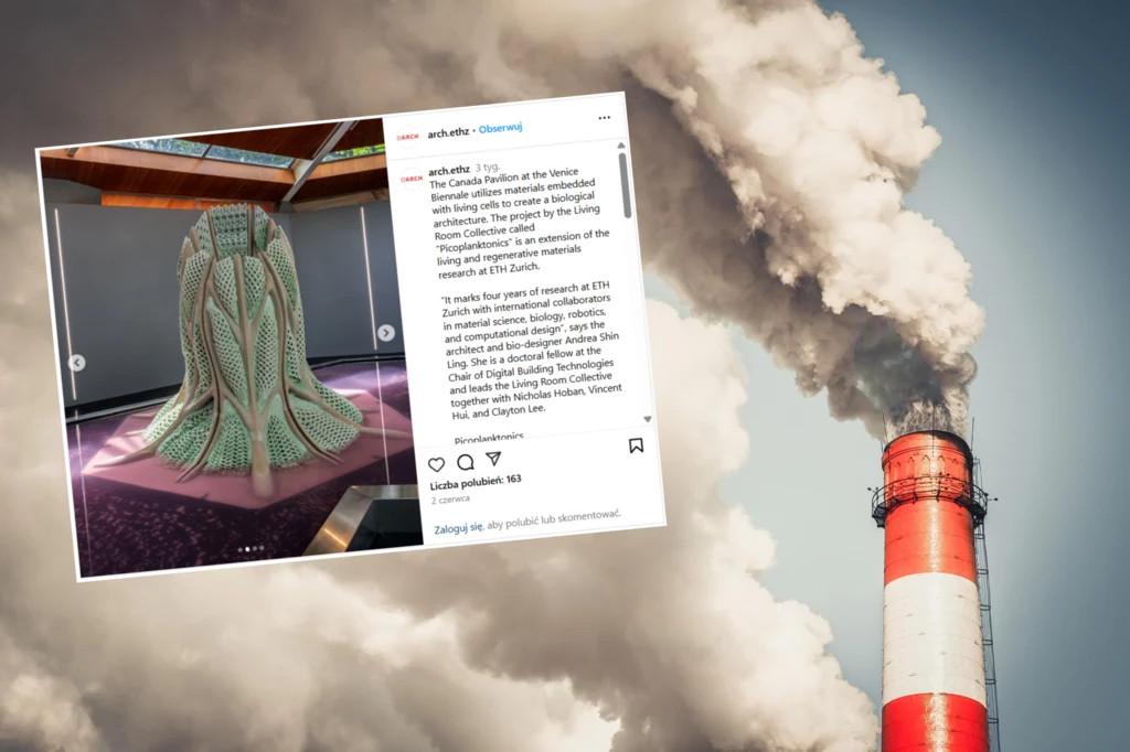 Przykład wykorzystania nowego materiału na wystawie architektonicznej w Wenecji Przykład wykorzystania nowego materiału na wystawie architektonicznej w Wenecji