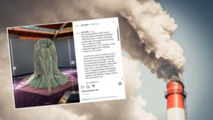 Żywy materiał z sinicami, który pochłania CO2 niczym dorosłe drzewo