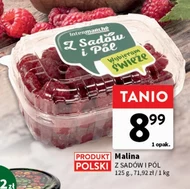 Малина Z Sadów i Pól