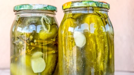 Ogórki kiszone wyszły mętne? Winny jest pewien popularny błąd. 
