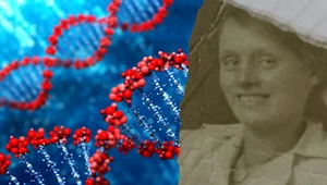 Zagadkowe morderstwo sprzed 60 lat w końcu rozwikłane dzięki DNA?