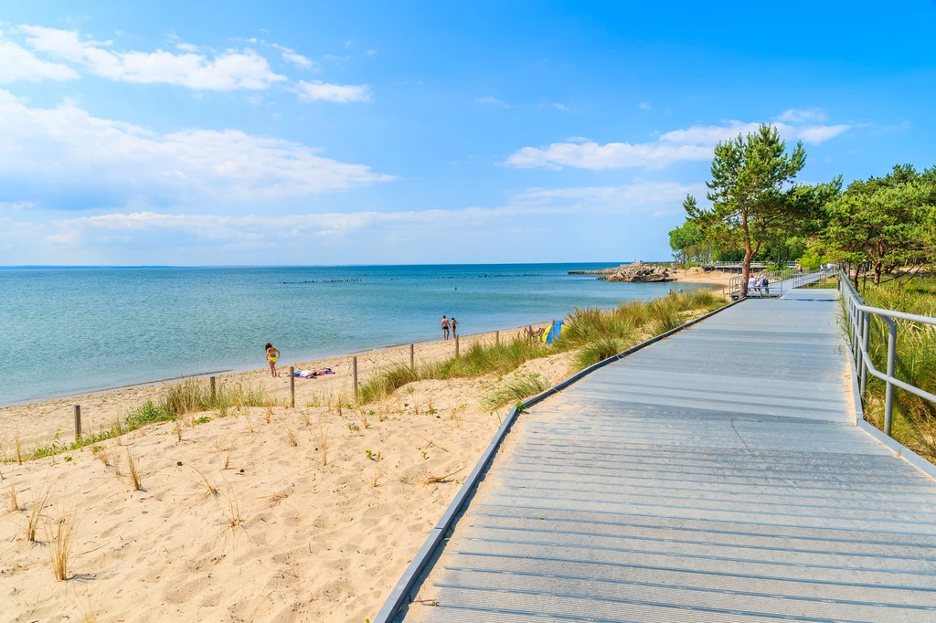 Wycinka została zgłoszona, bo na prywatnej działce ma powstać hotel Piaszczysta plaża ciągnąca się wzdłuż wybrzeża z pomostem po prawej stronie, w tle spokojne morze, kilka osób odpoczywa na plaży, z lewej strony widoczne drzewa i delikatna roślinność.