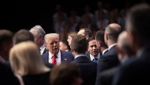 "Tatuś" odczarowany. Polityczne kulisy nowej strategii Europy wobec Trumpa