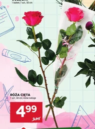 Роза