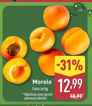 Morele