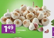 Czosnek