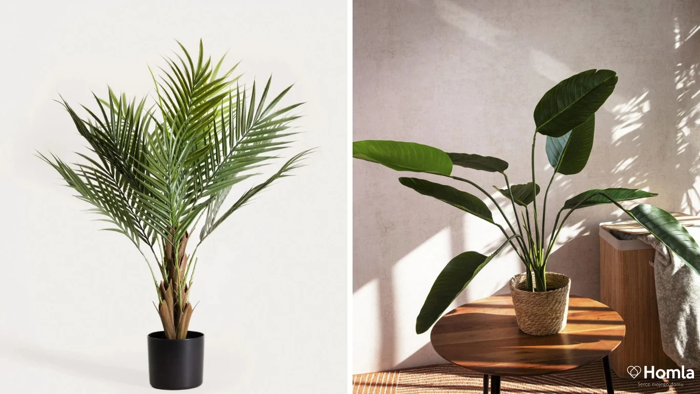 Okazałe rośliny dekoracyjne budują klimat bez potrzeby pielęgnacji