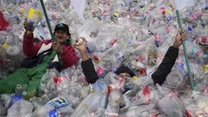 Dwóch mężczyzn zanurzonych w stercie plastikowych butelek, trzymających flagi, otoczonych ogromną ilością odpadów plastikowych.