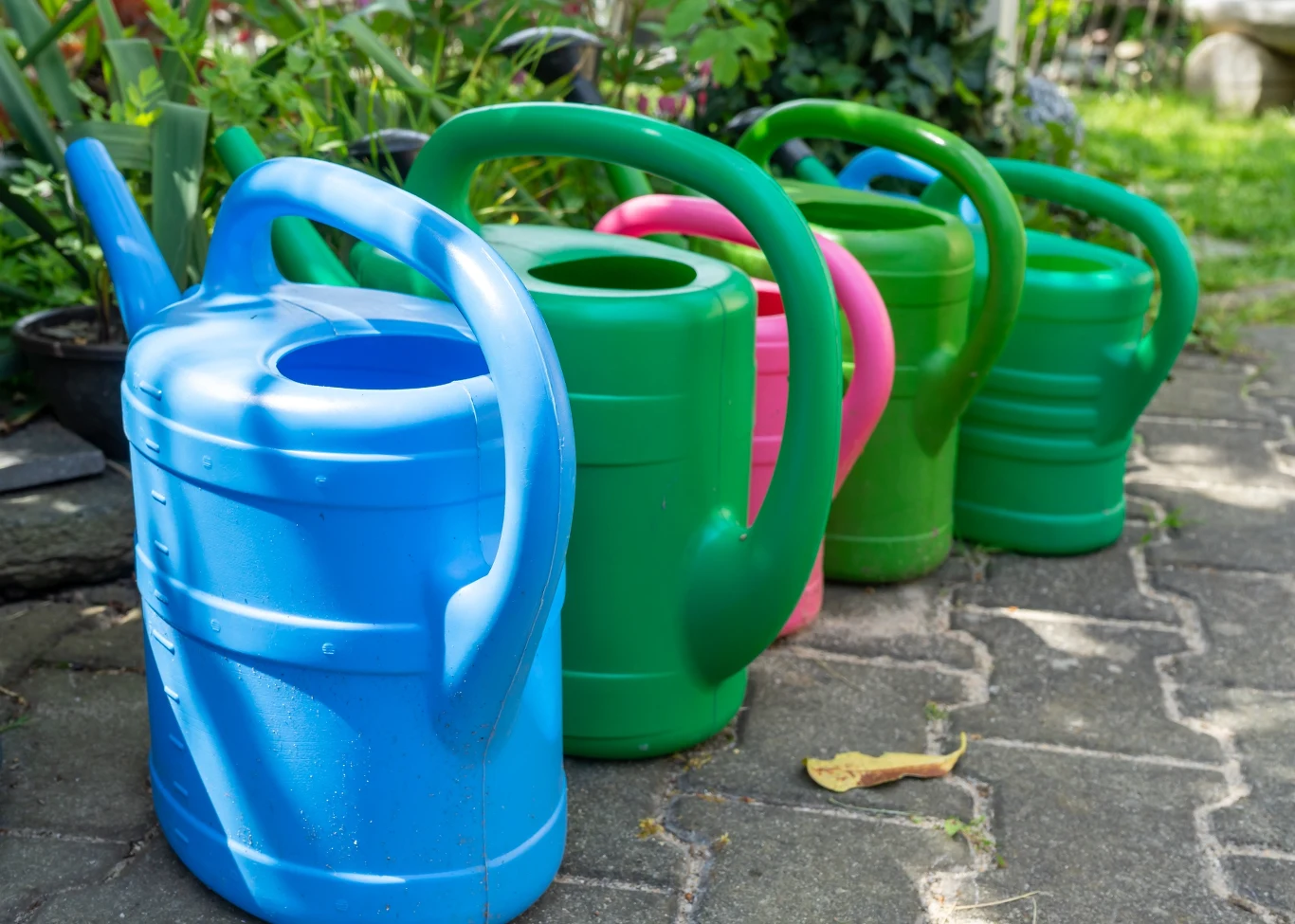 Kolorowe plastikowe konewki ustawione w rzędzie na chodniku w ogrodzie, otoczone zielenią roślin.
