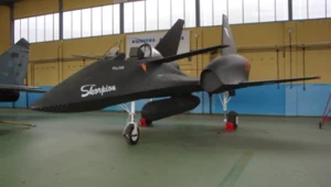 PZL-230 Skorpion. To miał być polski samolot nowego tysiąclecia
