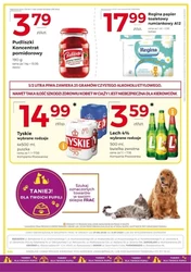 Nowe promocje w FRAC