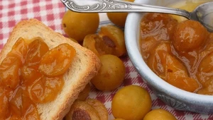 Na serce i wysoki cukier działają zabawienie. Mamy ich zatrzęsienie