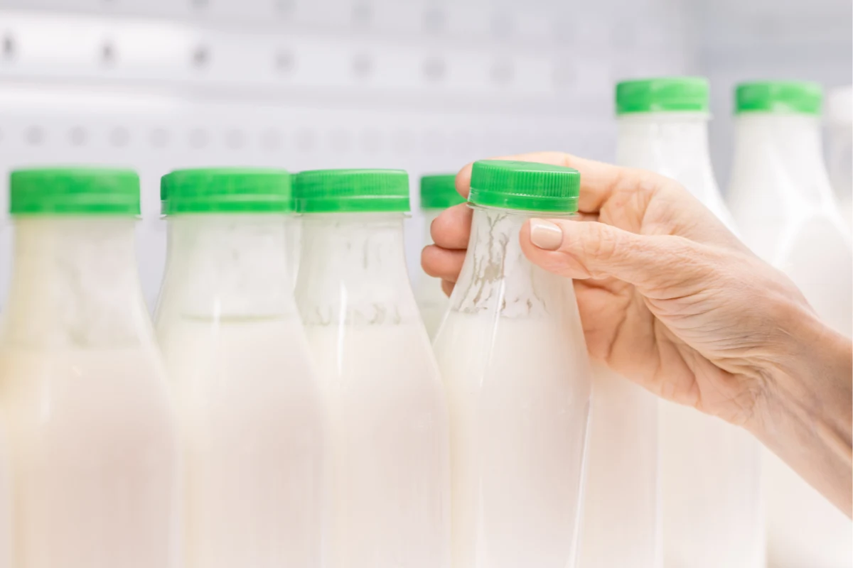 Fermentowane napoje mleczne zawierają nie tylko cenne białko i wapń. To też źródło fosforu, potasu oraz witamin z grupy B Rząd butelek mleka z zielonymi nakrętkami w lodówce, dłoń sięga po jedną z nich z przodu.
