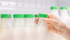 Kefir, maślanka, jogurt naturalny to dobrze znane źródła probiotyków. Bakterie probiotyczne znajdziesz jednak też w innych produktach