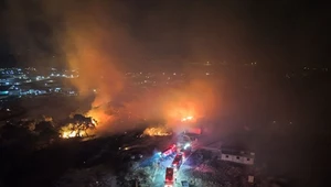 Gorąco nad Morzem Śródziemnym. Płonęły lasy w dwóch krajach