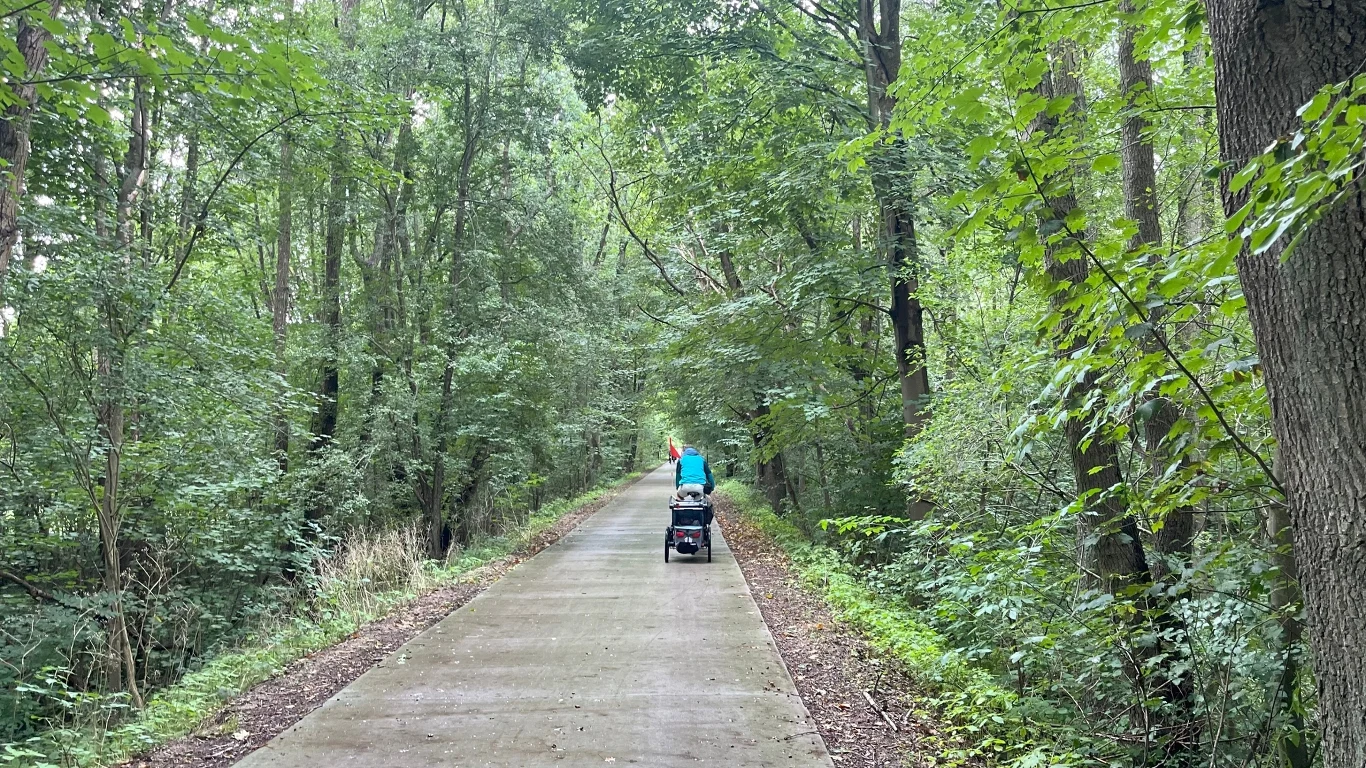 Asfaltowa leśna ścieżka otoczona gęstą zielenią, po której spaceruje osoba z wózkiem dziecięcym, całość tworzy spokojny, naturalny krajobraz.