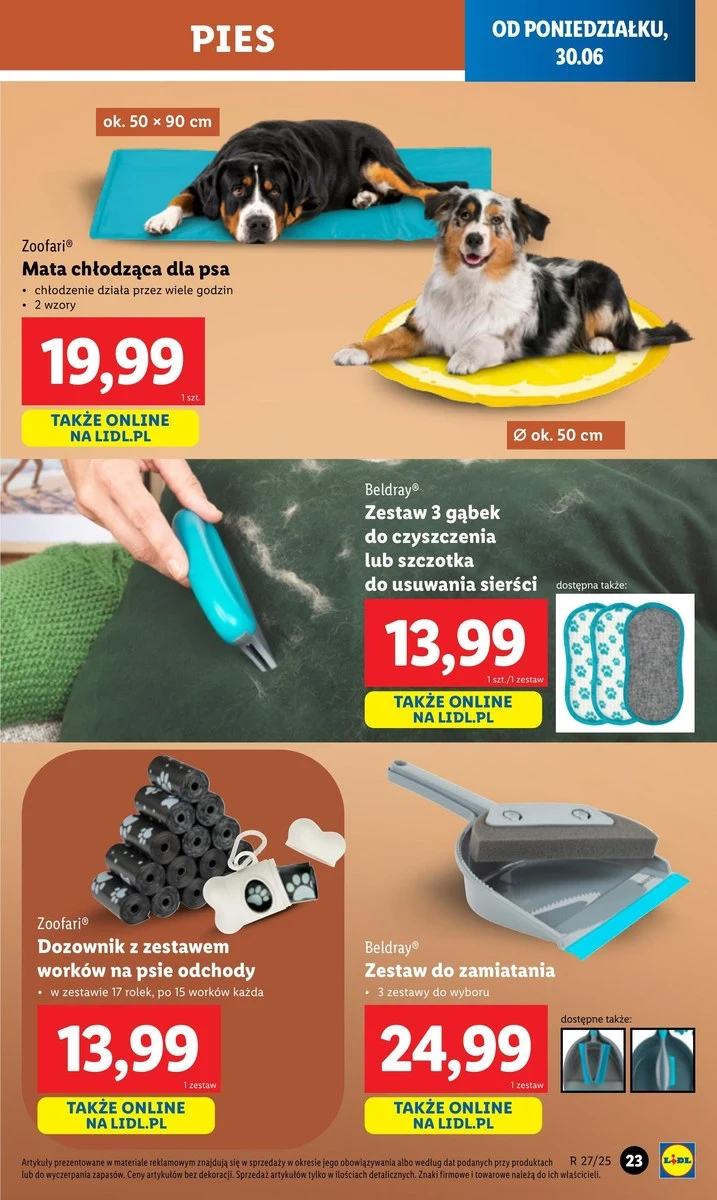 Zaskocz swojego pupila na Dzień Psa! Lidl ruszył z wyjątkową promocją