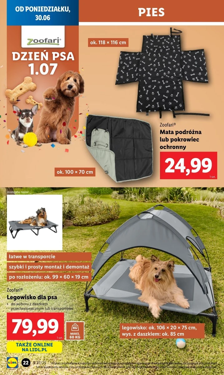 Zaskocz swojego pupila na Dzień Psa! Lidl ruszył z wyjątkową promocją