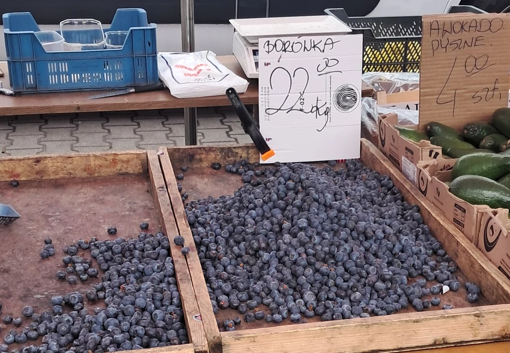 Na bazarach borówki można kupić za 22-35 zł/kg.