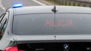 Te auta nie rzucają się w oczy. To tajna broń policji w całym kraju