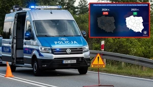 Najniebezpieczniejsze miejsca w Polsce. Policja tworzy nową mapę