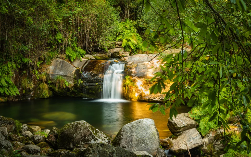 São Pedro do Sul