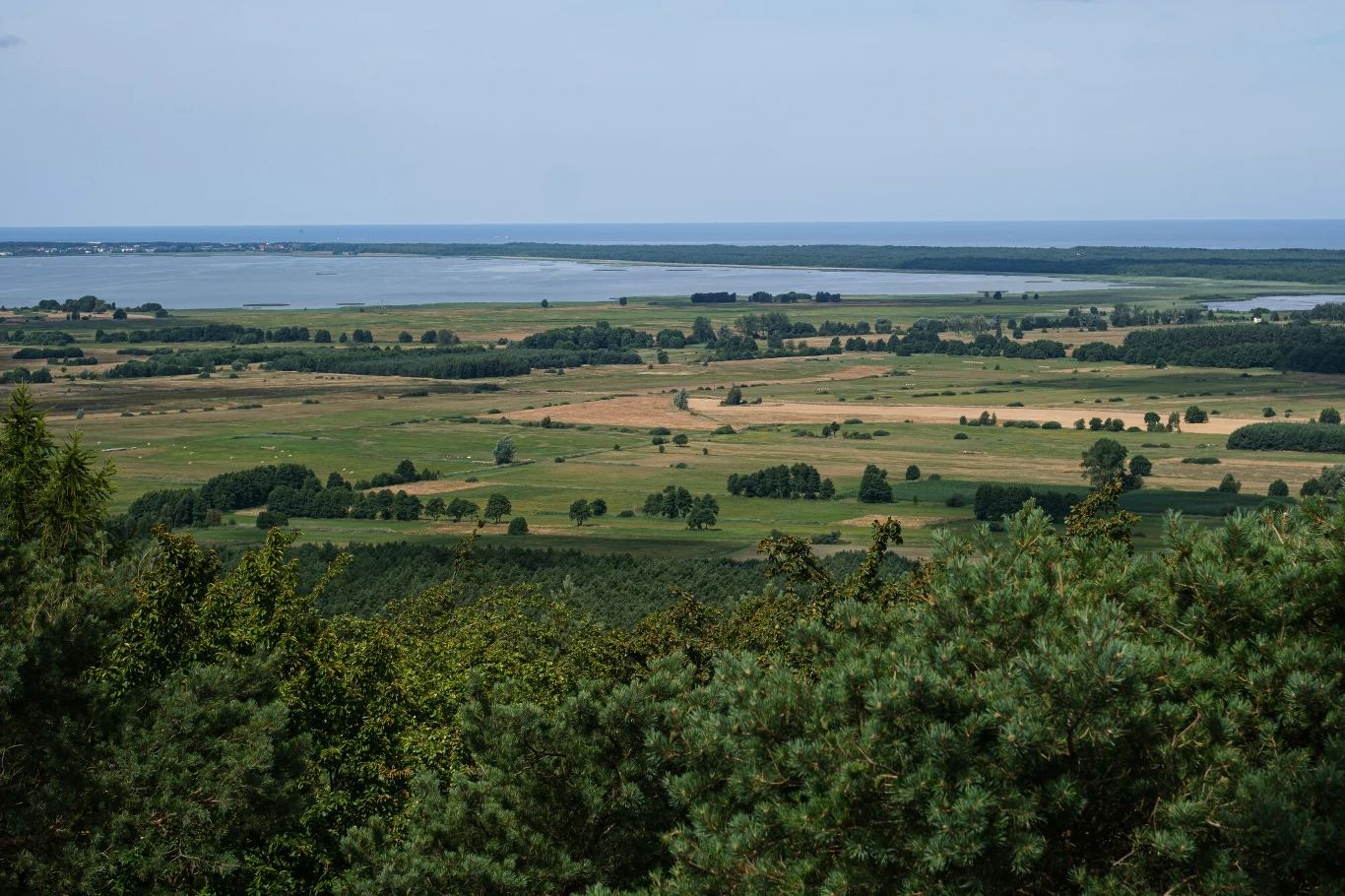 Rozległe zielone pola rozciągające się w stronę jeziora, w tle widoczna linia brzegowa i spokojna tafla wody, na pierwszym planie gęste korony drzew.