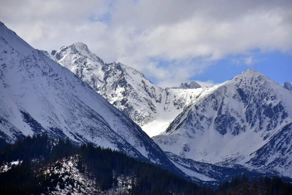 Widok na Tatry Wysokie śnieżne szczyty górskie pod częściowo zachmurzonym niebem, w dolnych partiach widoczny pas zielonego lasu iglastego