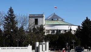 Jakie trendy kształtują politykę