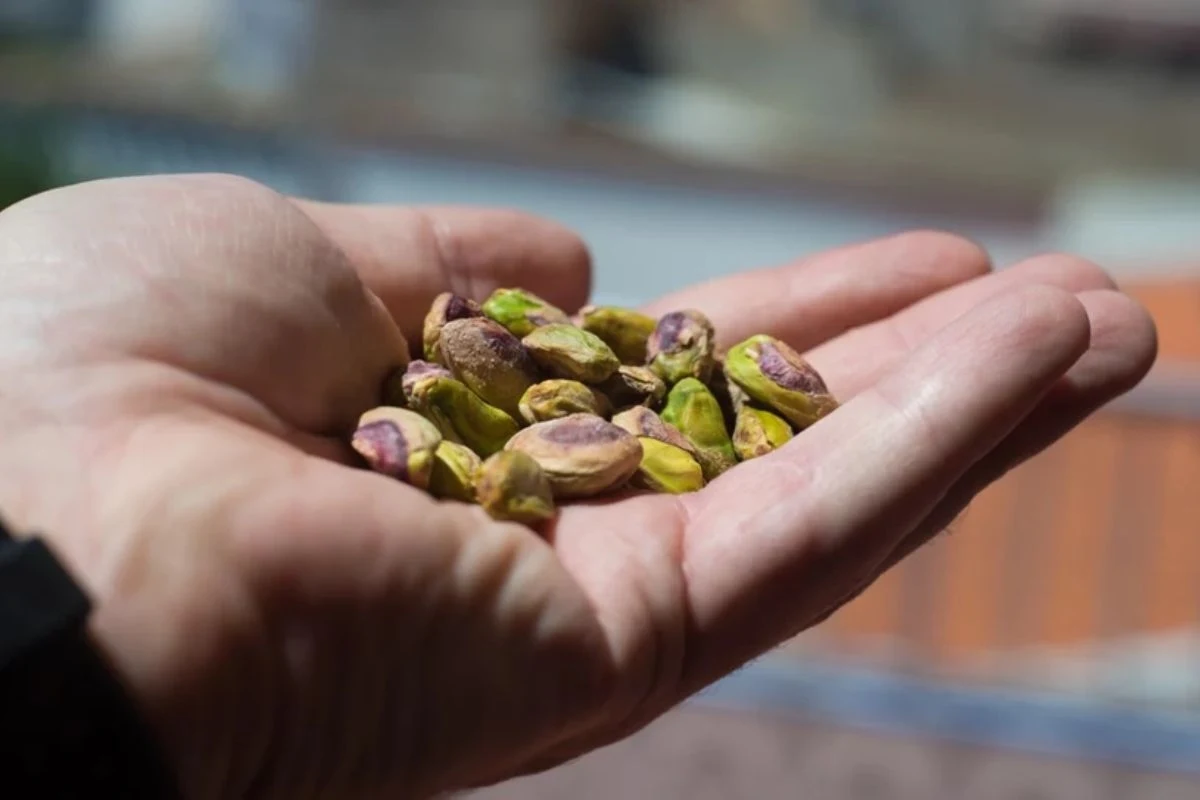 Pistacje regulują poziom cukru we krwi, a także obniżają "zły" cholesterol i chronią oczy