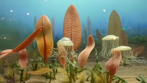 Fauna ediakarska sprzed 600 milionów lat. Życie wtedy istniało oczywiście tylko w morzu