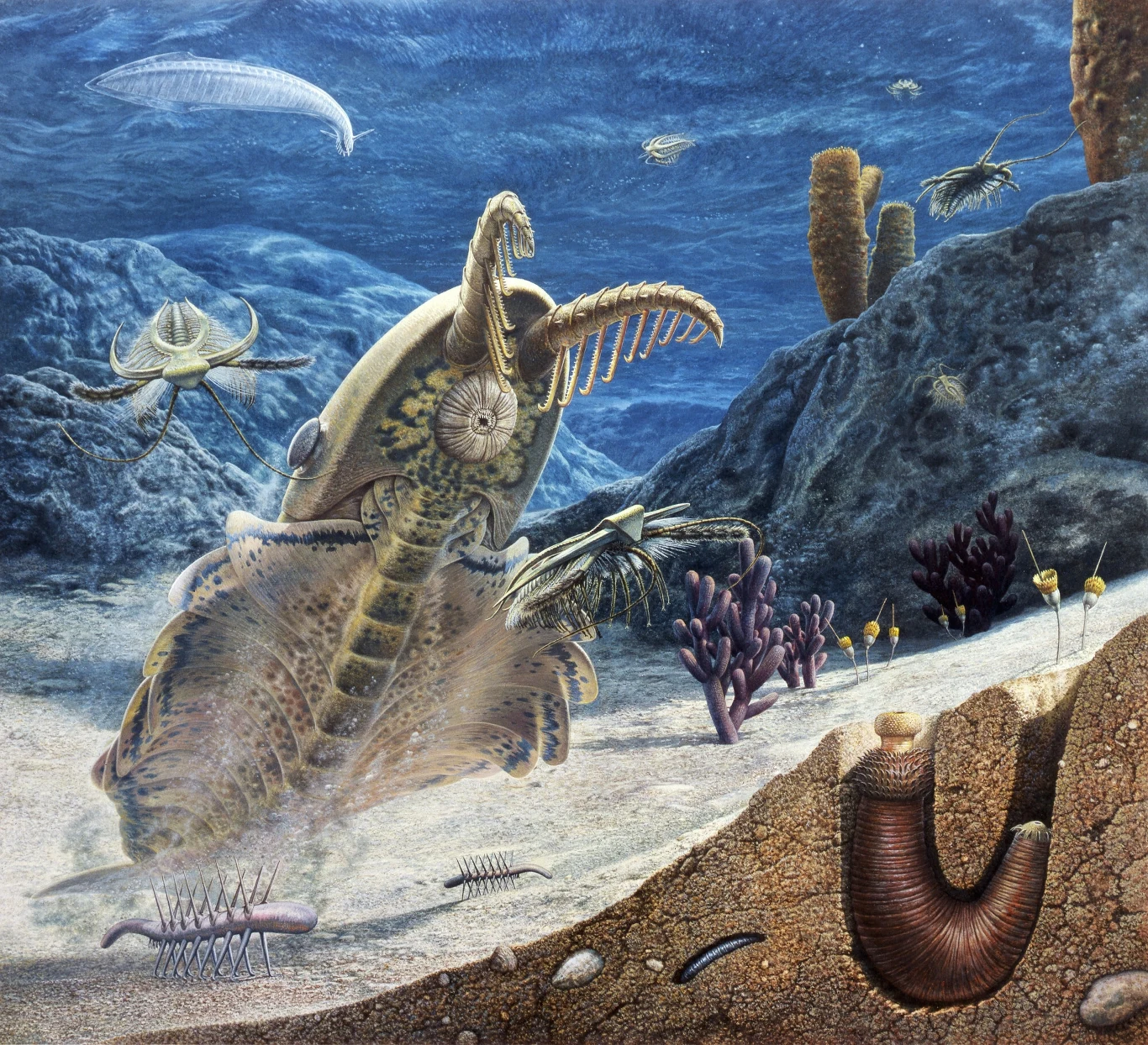 Podwodne środowisko z ery paleozoiku z różnymi prehistorycznymi stworzeniami morskimi o unikalnych kształtach, w tym dużym stawonogiem z rozwiniętymi odnóżami, otoczonym koralowcami, gąbkami i innymi bezkręgowcami.