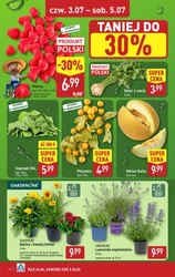 Tydzień mega oszczędności! - Aldi