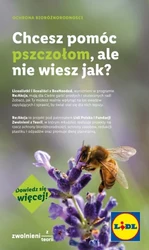 Regionalne smaki w supercenach – Lidl