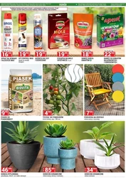 Merkury Market - hit cenowy!