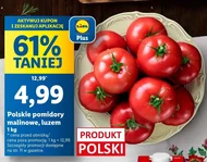 Помідори Polski