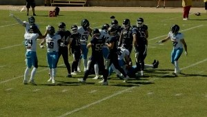 Panthers Wrocław wygrali na wyjeździe z Fehervar Enthroners