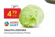 Sałata lodowa Agro Hurt