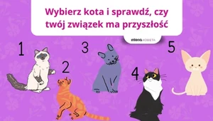 Test partnerstwa: Czy twój związek ma przyszłość?