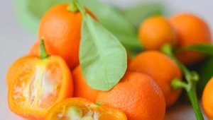 Ten niepozorny owoc to prawdziwy skarb dla zdrowia