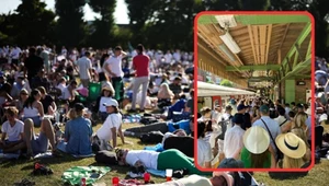 Takich zdjęć można wykonać setki, na każdym kroku. Wimbledon to magnes dla kibiców z całego świata