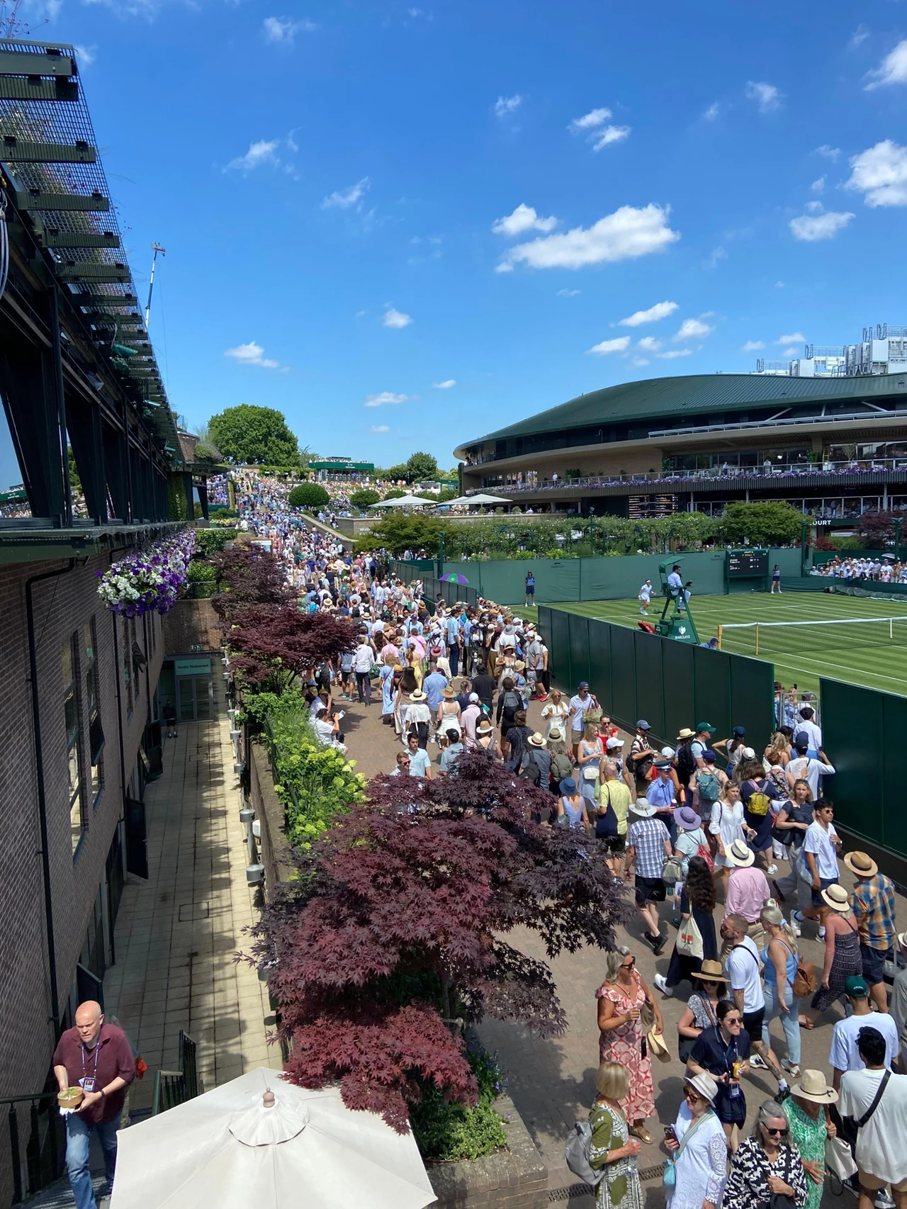 Piękna pogoda, cudowna zieleń i tłum ludzi - Wimbledon rozpoczął się wybornie Piękna pogoda, cudowna zieleń i tłum ludzi - Wimbledon rozpoczął się wybornie
