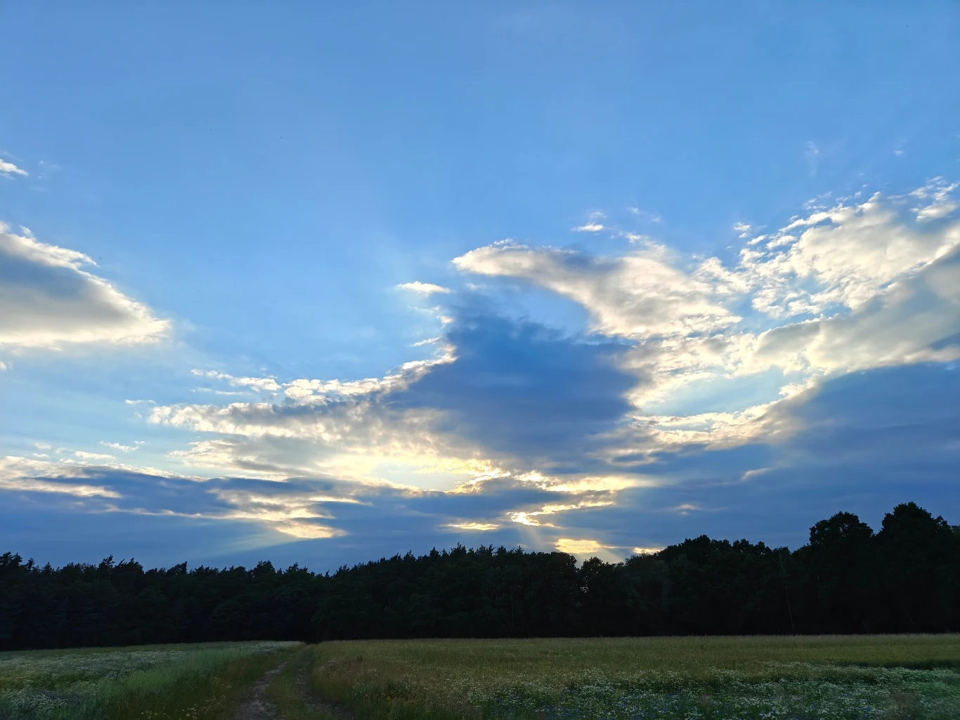 Aparat szerokokątny modelu OnePlus Nord 5 radzi sobie bardzo dobrze. Rozległe pole z trawiastą ścieżką, otoczone gęstym lasem na horyzoncie, nad którym rozpościera się niebo z licznymi chmurami rozświetlonymi promieniami wschodzącego lub zachodzącego słońca.