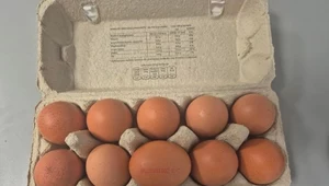 Groźne bakterie na jajkach. Koniecznie sprawdź oznaczenie na opakowaniu