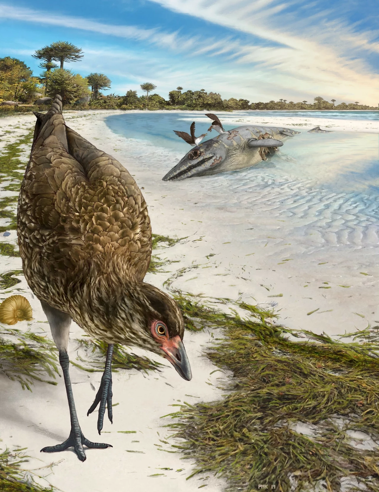 Ptak z epoki prehistorycznej spaceruje po piaszczystym brzegu w otoczeniu morskiej roślinności, w tle widoczny duży morski gad oraz pterozaur siedzący na jego ciele, dalej rozciągają się pradawne drzewa i niebieskie niebo z delikatnymi chmurami.