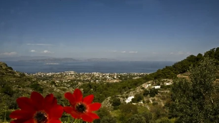Wyspa Egina to prawdziwy raj. Jest tylko godzinę drogi od Aten, lecz w ostatnich latach turyści o niej zapomnieli
