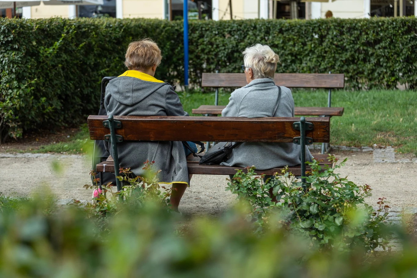 ZUS wysyła 6600 zł miesięcznie. Potrzebne jedynie polskie obywatelstwo. Na zdjęciu dwójka seniorów siedząca na ławeczce w parku tyłem do kamery. ZUS wysyła 6600 zł miesięcznie. Potrzebne jedynie polskie obywatelstwo. Na zdjęciu dwójka seniorów siedząca na ławeczce w parku tyłem do kamery.
